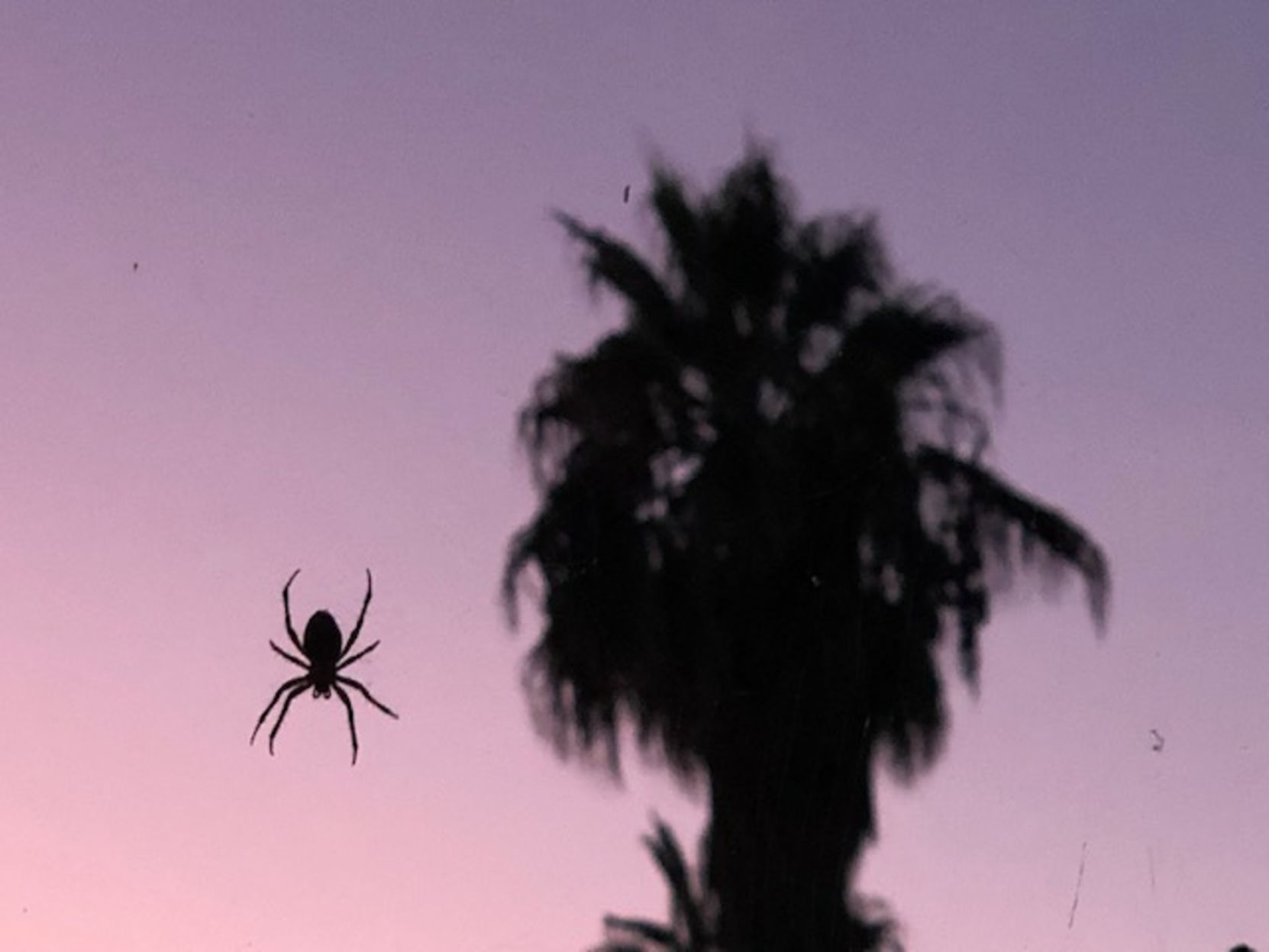 Hanging around Echo Park
